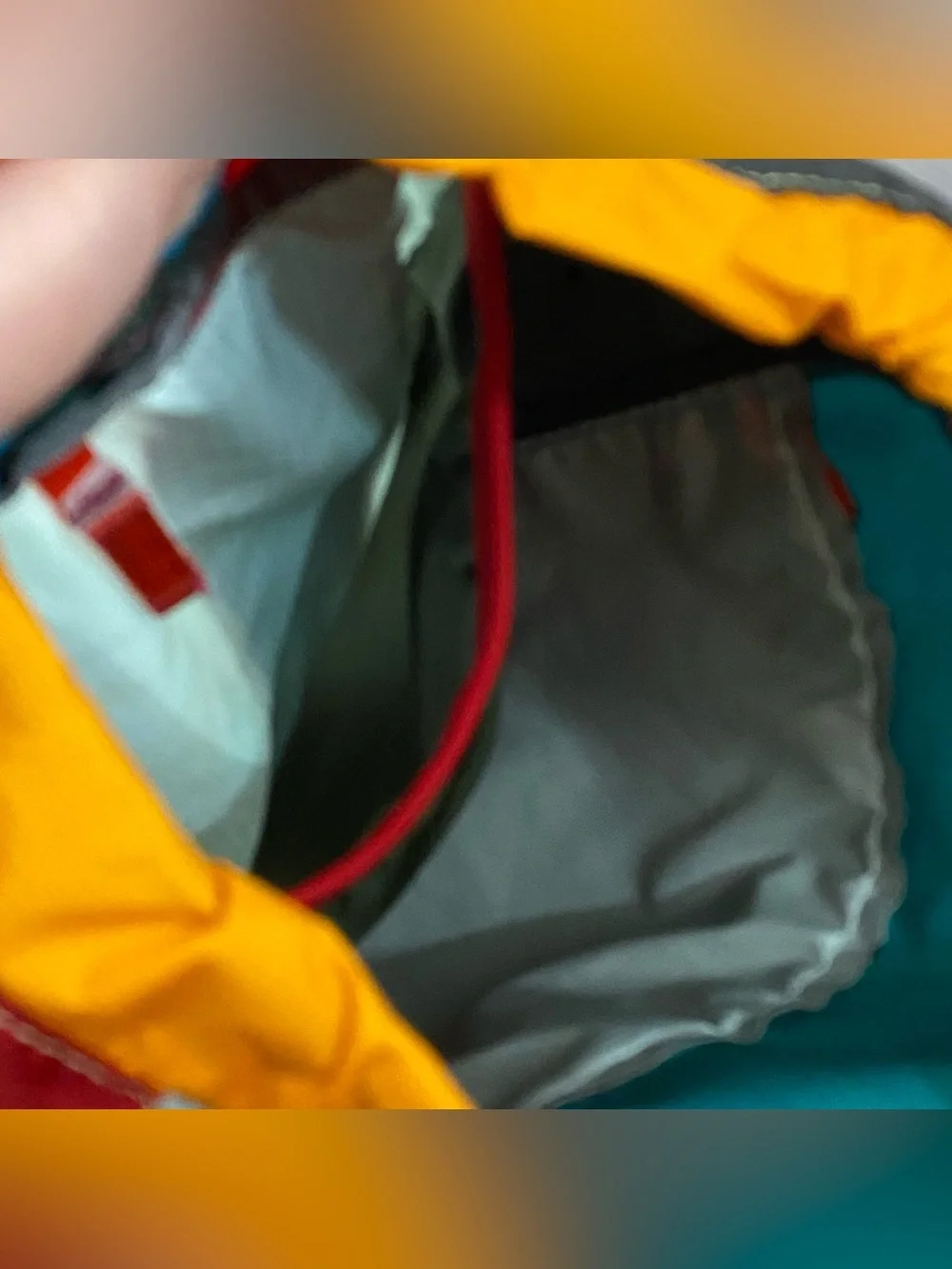 Cotopaxi Luzon 18L Daypack - Del Día Multicolor Backpack Hiking Outdoors NWT - Picture 14 of 16